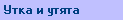 Смотрим УТКУ С УТЯТАМИ ?